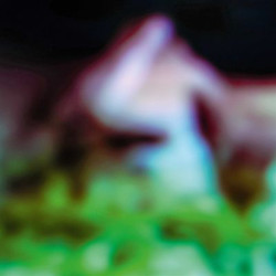 Виниловая пластинка Hair &amp; Treasure - Disc Rot