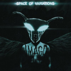 Виниловая пластинка Space Of Variations - IMAGO