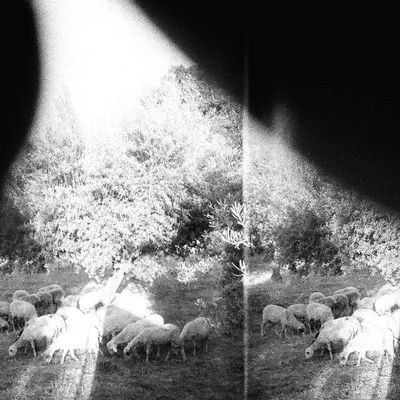 Виниловая пластинка Godspeed You! Black Emperor - Asunder, Sweet And Other Distress