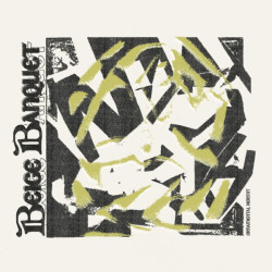 Виниловая пластинка Beige Banquet - Ornamental Hermit