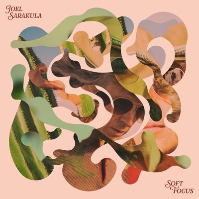 Виниловая пластинка Joel Sarakula - Soft Focus