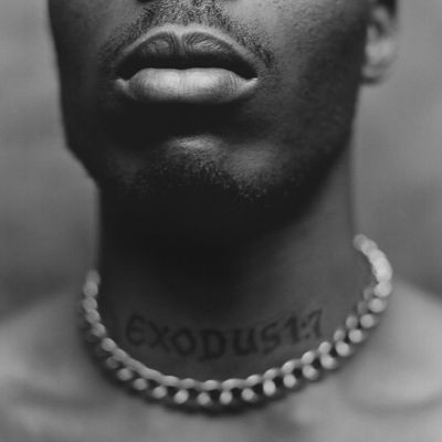 Виниловая пластинка DMX - Exodus (LP)