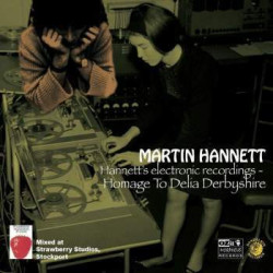 Виниловая пластинка Martin Hannett - Homage To Delia Derbyshire