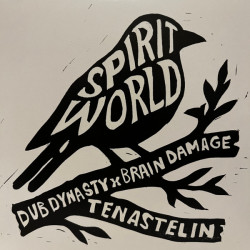 Виниловая пластинка Dub Dynasty, Brain Damage, Ten - Spirit World