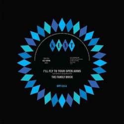 Виниловая пластинка The Family Brick - Ray Grant-I’Ll Fly To Your Open Arms / Did She Do It To You