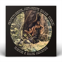 Виниловая пластинка Rubinho E Mauro Assumpcao - Perfeitamente, Justamente Quando Cheguei
