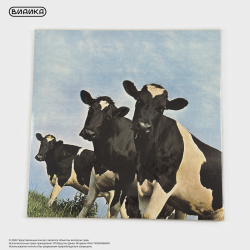 Виниловая пластинка Pink Floyd - Atom Heart Mother (LP)