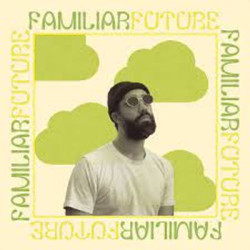 Виниловая пластинка Dougie Stu - Familiar Future