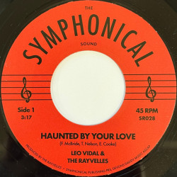 Виниловая пластинка Leo Vidal &amp; The Rayvelles - Haunted by Your Love