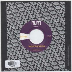 Виниловая пластинка Michael A. Dixon &amp; J.O.Y. - You're Everything b/w You're All I Need