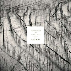 Виниловая пластинка Tom Hobden &amp; Eliot James - Tom Hobden &amp; Eliot James Present: Roam