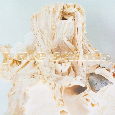 Виниловая пластинка Pale Saints - In Ribbons