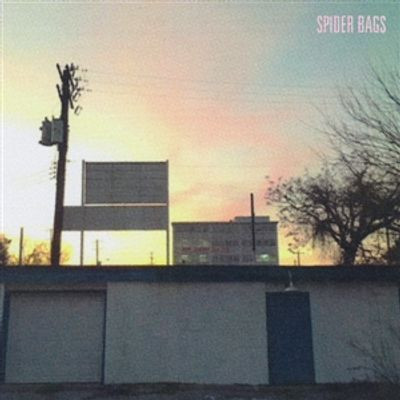 Виниловая пластинка Spider Bags - Someday Everything Will Be Fine