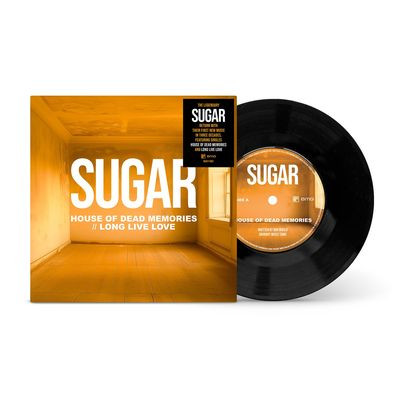 Виниловая пластинка Sugar - House of Dead Memories / Long Live Love