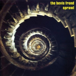 Виниловая пластинка The Bevis Frond - Sprawl