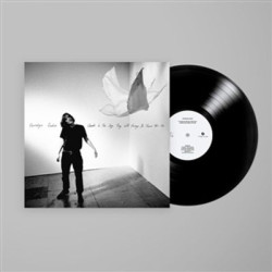 Виниловая пластинка Porridge Radio - Clouds In The Sky They Will Always Be There For Me (USA, Canada &amp; Europe)