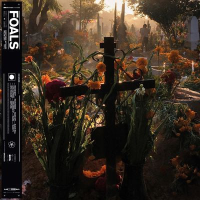 Виниловая пластинка Foals - Everything Not Saved Will Be Lost (1LP/GF/180G)