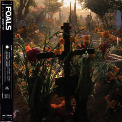 Виниловая пластинка Foals - Everything Not Saved Will Be Lost (1LP/GF/180G)