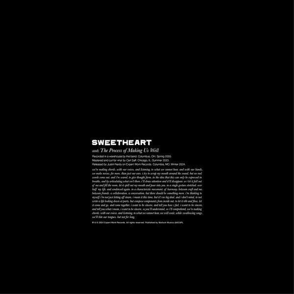 Виниловая пластинка Sweetheart - The Process of Making Us Well