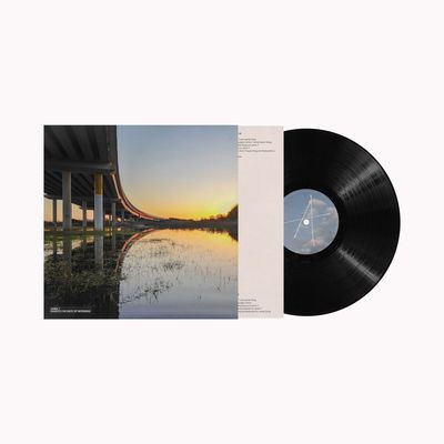 Виниловая пластинка Jamie T - Ghosts (100 Days Of Morning) (LP)