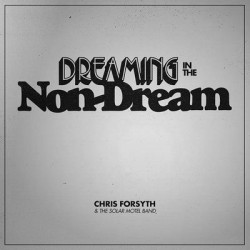 Виниловая пластинка Chris Forsyth &amp; Koen Holtkamp - Dreaming In The Non-Dream
