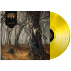 Виниловая пластинка Fires In The Distance - Echoes From Deep November