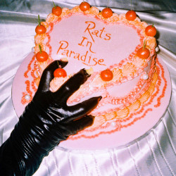 Виниловая пластинка Breeze Emily - Rats In Paradise