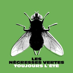 Виниловая пластинка Les Negresses Vertes - Toujours Lete (Best Of)