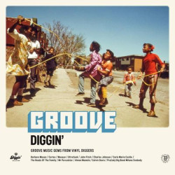 Виниловая пластинка Various Artists - Groove Diggin'