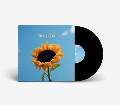 Виниловая пластинка The Snuts - Joy In Short Moments (LP)