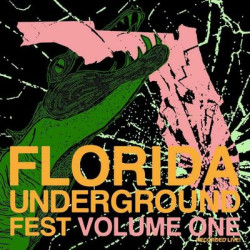 Виниловая пластинка Various Artists - Florida Underground Fest Vol. 1