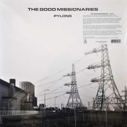 Виниловая пластинка The Good Missionaries - Pylons