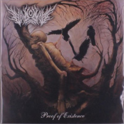 Виниловая пластинка Void Of Hope - Proof Of Existence