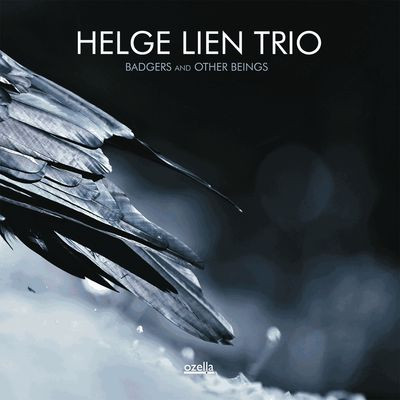 Виниловая пластинка Helge Lien Trio - Badgers And Other Beings