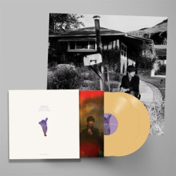 Виниловая пластинка Sharon Van Etten - We've Been Going About This All Wrong (Deluxe Edition)