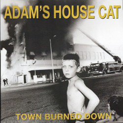 Виниловая пластинка Adam'S House Cat - World Burned Down