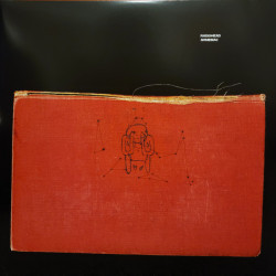 Виниловая пластинка Radiohead - Amnesiac (2LP)
