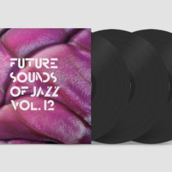 Various Artists - Future Sounds Of Jazz Vol. 12 (LP)