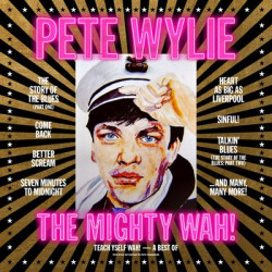 Виниловая пластинка Pete Wylie &amp; The Mighty WAH! - Teach Yself WAH! - A Best of Pete Wylie &amp; The Mighty WAH!
