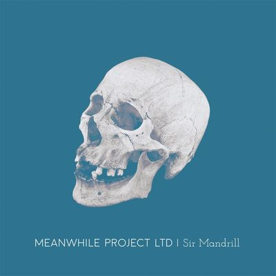 Виниловая пластинка Meanwhile Project Ltd - Sir Mandrill
