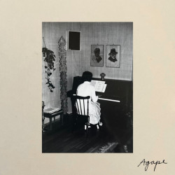 Виниловая пластинка Tara Nome Doyle - Agape
