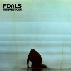 Виниловая пластинка Foals - What Went Down (1LP/Gat)