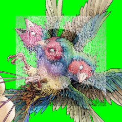 Виниловая пластинка Gouldian Finch - Hatch