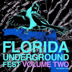 Виниловая пластинка Various Artists - Florida Underground Fest Vol. 2