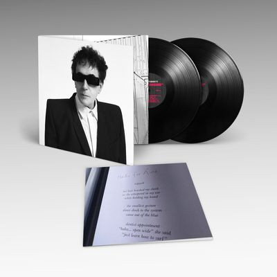 Виниловая пластинка Peter Perrett - The Cleansing