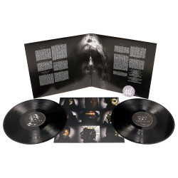 Виниловая пластинка Slipknot - We Are Not Your Kind (2LP)