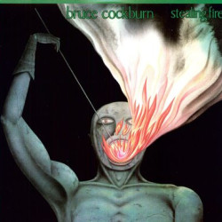 Виниловая пластинка Bruce Cockburn - Stealing Fire