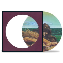 Виниловая пластинка Grateful Dead - Wake of the Flood (50th Annive (мировое издание, picture disc, лимитированное издание)