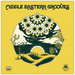Виниловая пластинка Various Artists - Middle Eastern Grooves (Selected By Dj Kobayashi)