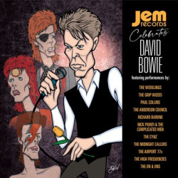 Виниловая пластинка Various Artists - Jem Records Celebrates David Bowie